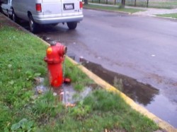 Fire Hydrant across the street from park
