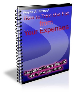 How to Trim the Fat from Your Expenses