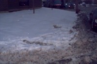 Picture reveals sidewalk under snow